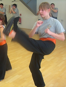 Prüfungen und Seminar im Lo Man Kam Wing Chun Kung Fu Trainingszentrum Thüringen